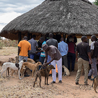 World Rabies Day 2018 ved GARC - Dyrlæger uden Grænser