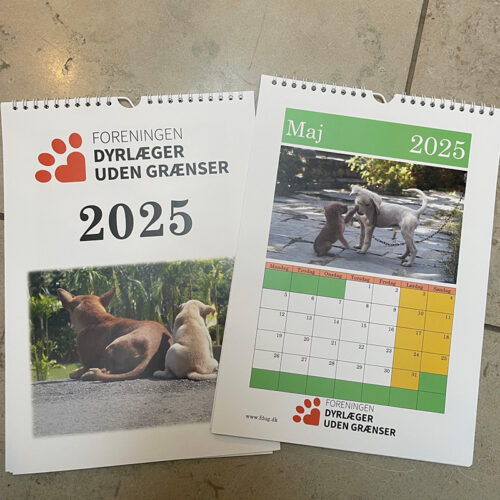 Kalender 2025 - Dyrlæger uden Grænser